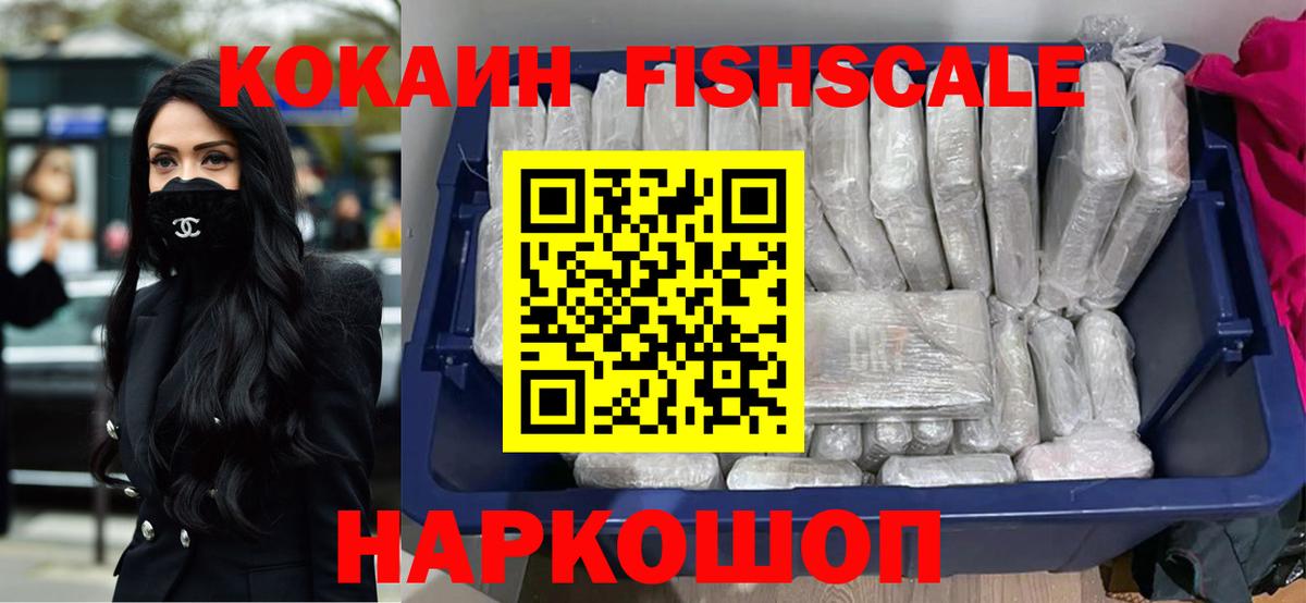 продажа наркотиков  Вход с VPN  COCAIN Fish Scale  COCAIN  Советск  Cocaine Fish Scale 