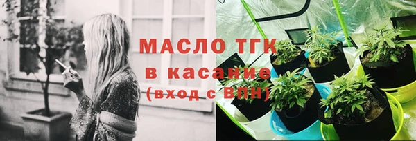 дмт Абаза