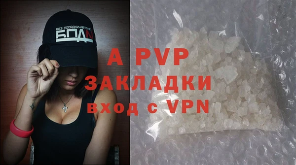 дмт Абаза