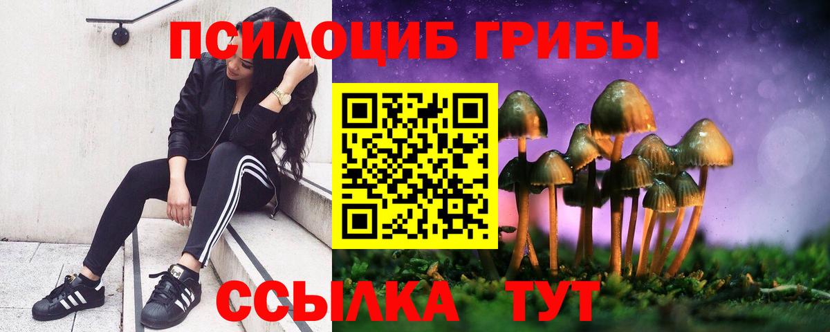 Галлюциногенные грибы прущие грибы Советск
